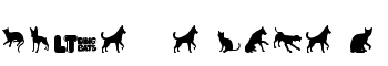 download Cats vs Dogs LT font