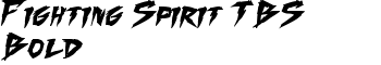 Fighting Spirit TBS Bold font