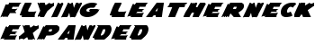download Flying Leatherneck Expanded font