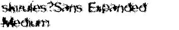 download skirules-Sans Expanded Medium font