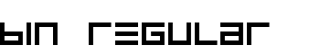 BIN Regular font