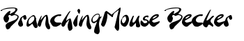 BranchingMouse Becker font