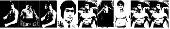 download BRUCE LEE font