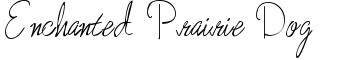 download Enchanted Prairie Dog font