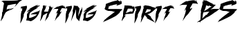 Fighting Spirit TBS font