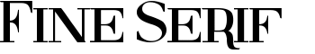 Fine Serif font