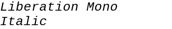 Liberation Mono Italic font