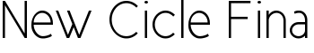 New Cicle Fina font