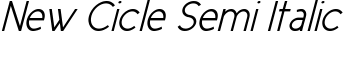 New Cicle Semi Italic font