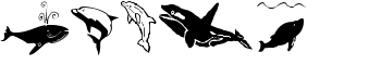 download Orcas font