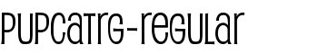 PupcatRg-Regular font