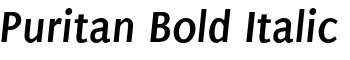 Puritan Bold Italic font