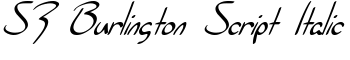 SF Burlington Script Italic font