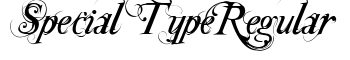 download Special TypeRegular font