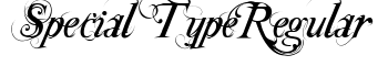 Special TypeRegular font