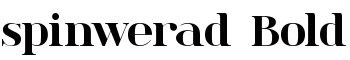 spinwerad Bold font