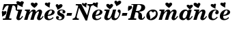 Times-New-Romance font