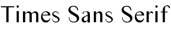 Times Sans Serif font