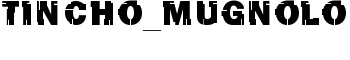 Tincho_Mugnolo font