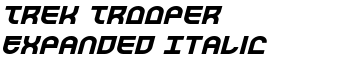 Trek Trooper Expanded Italic font