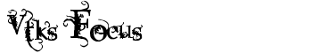 Vtks Focus font