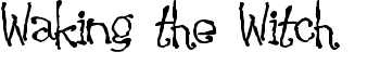 download Waking the Witch font