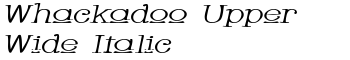 Whackadoo Upper Wide Italic font