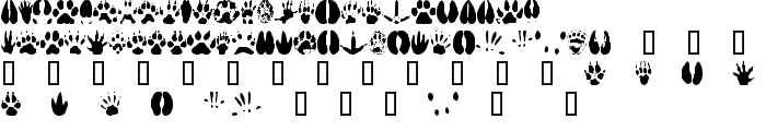 AnimalTracks font