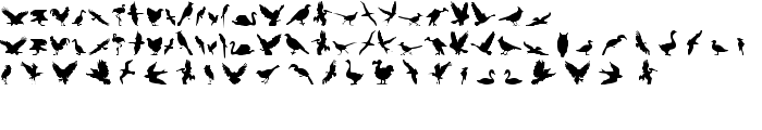 Birds of a Feather font