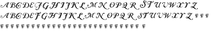 Caslon Calligraphic Initials font