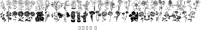 DT Flowers 1 font