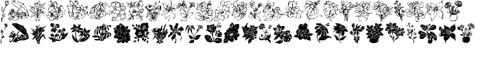DT Flowers 2 font