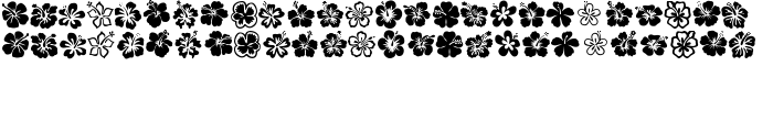 Hibiscus font