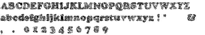 Skooper Black font